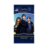 Letogoods Harry Potter Sorcerer’s Stone Series Booster Pack